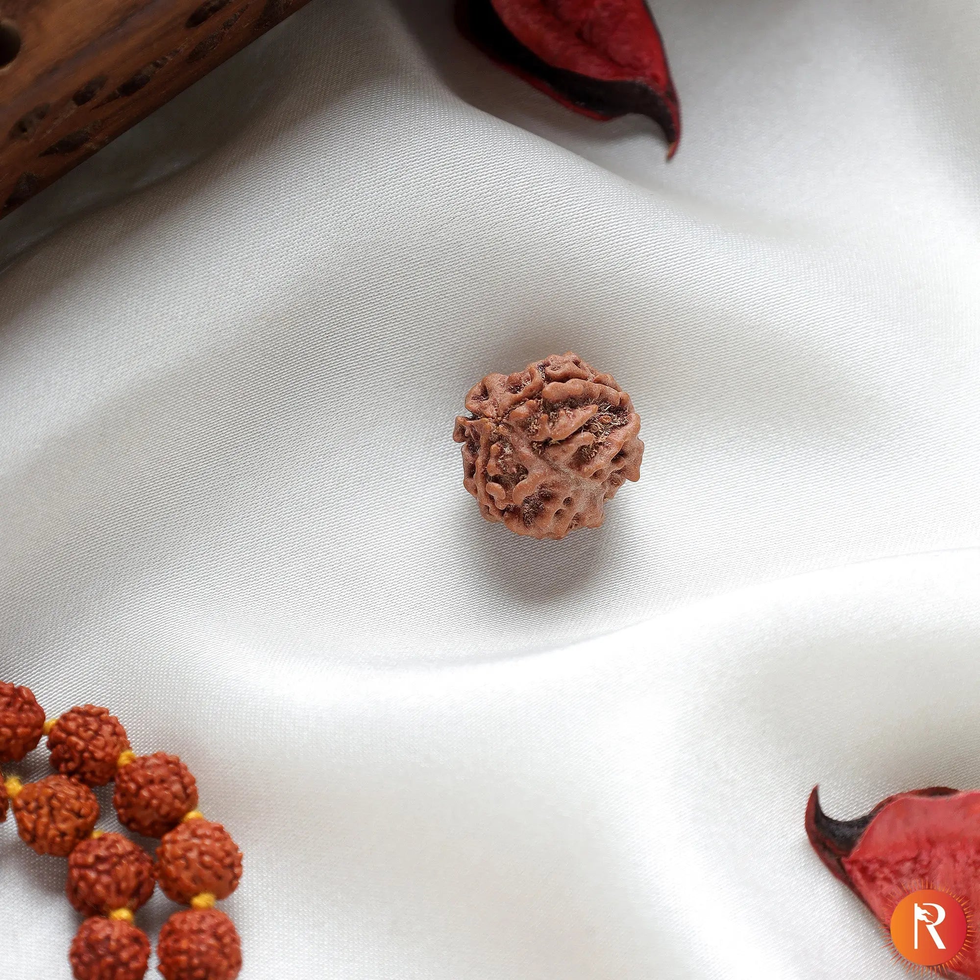 Nepal Origin 3 Mukhi Lab Certified Rudraksha - 18mm - 22mm Religious Bazar