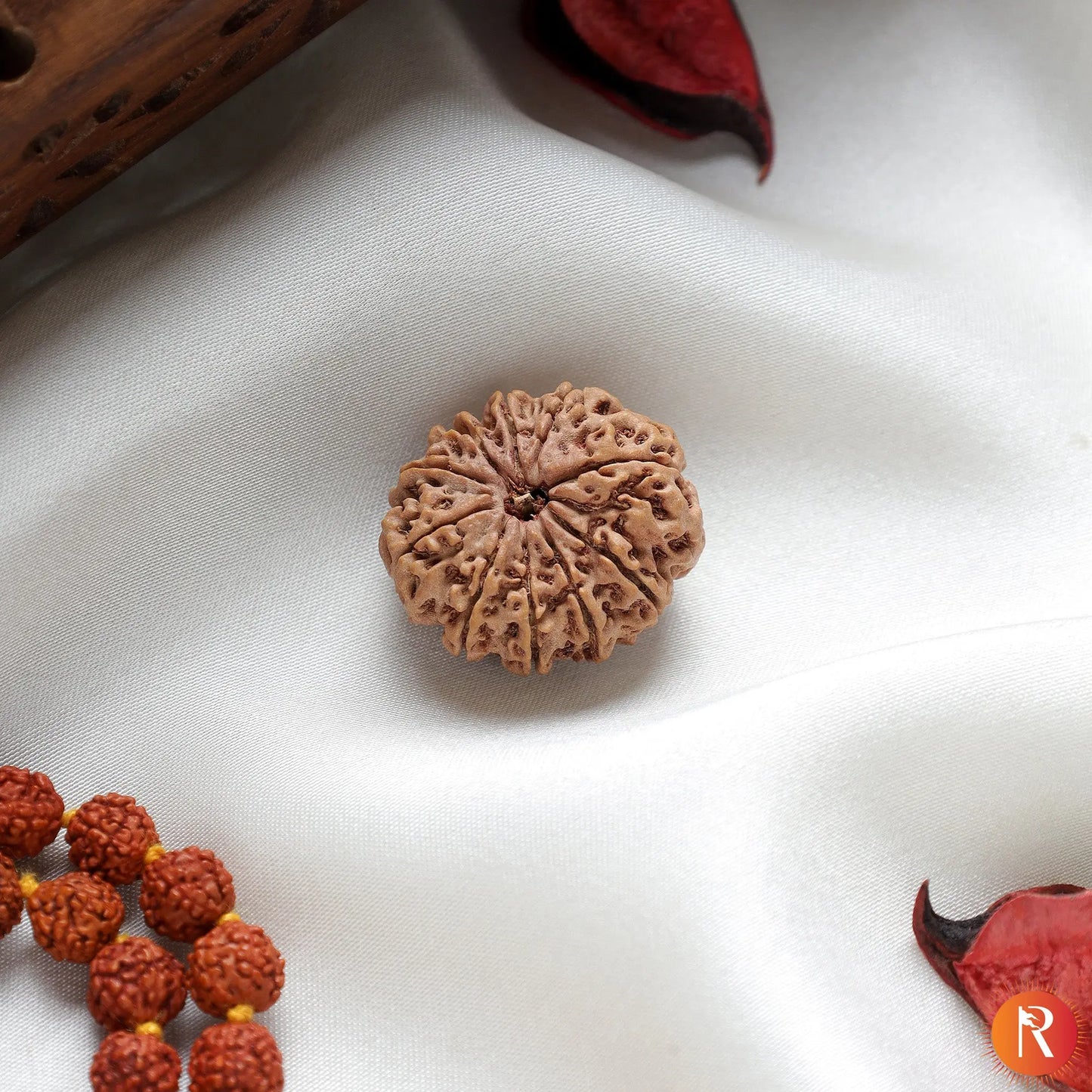 Nepal Origin 10 Mukhi Lab Certified Rudraksha - 17mm to 22mm Religious Bazar