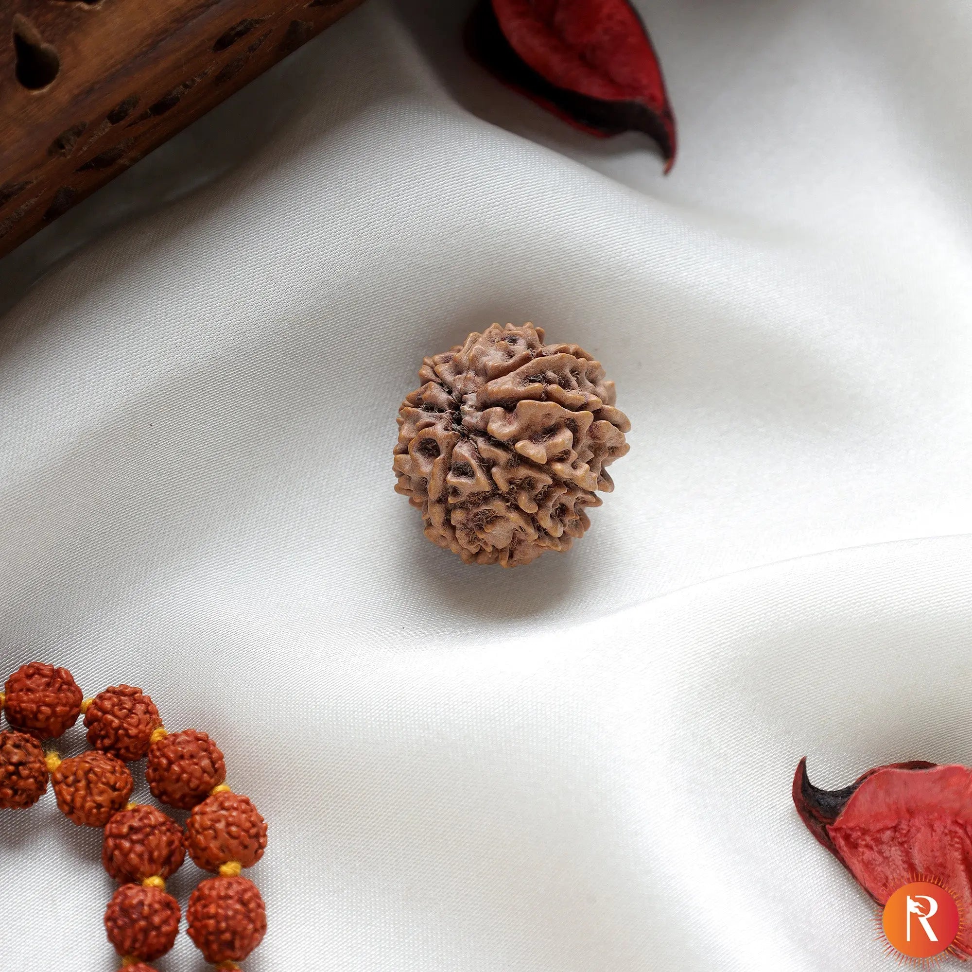 Nepal Origin 9 Mukhi Lab Certified Rudraksha - 17mm to 22mm Religious Bazar
