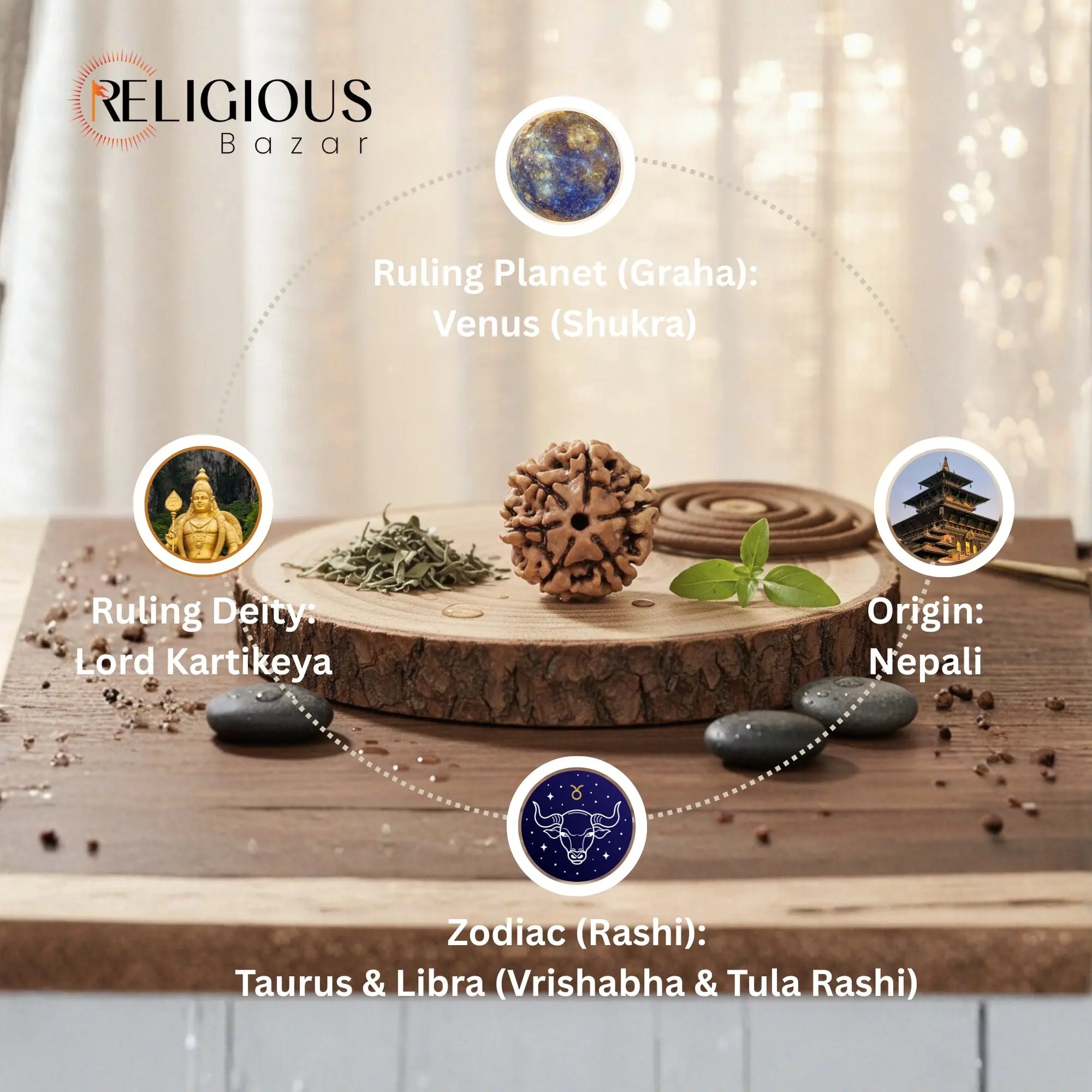 Nepal Origin 6 Mukhi Lab Certified Rudraksha - 18mm - 22mm Religious Bazar