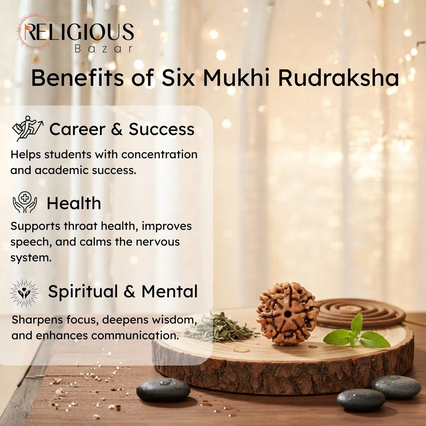 Nepal Origin 6 Mukhi Lab Certified Rudraksha - 18mm - 22mm Religious Bazar