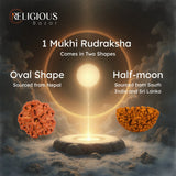 Nepal Origin 1 Mukhi Lab Certified Rudraksha - 18mm - 22mm Religious Bazar