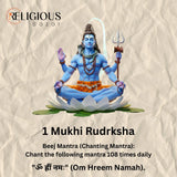 1 Mukhi Lab Certified Rudraksha Religious Bazar