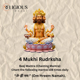 Nepal Origin 4 Mukhi Lab Certified Rudraksha - 18mm - 22mm Religious Bazar