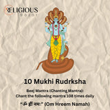 Nepal Origin 10 Mukhi Lab Certified Rudraksha - 17mm to 22mm Religious Bazar