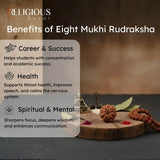Nepal Origin 8 Mukhi Lab Certified Rudraksha - 17mm to 22mm Religious Bazar