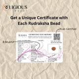 Nepal Origin 8 Mukhi Lab Certified Rudraksha - 17mm to 22mm Religious Bazar
